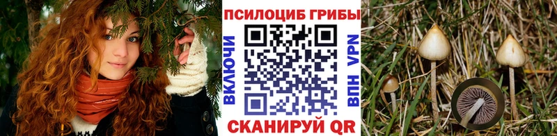 мега зеркало  наркота  Ялуторовск  Галлюциногенные грибы мицелий 