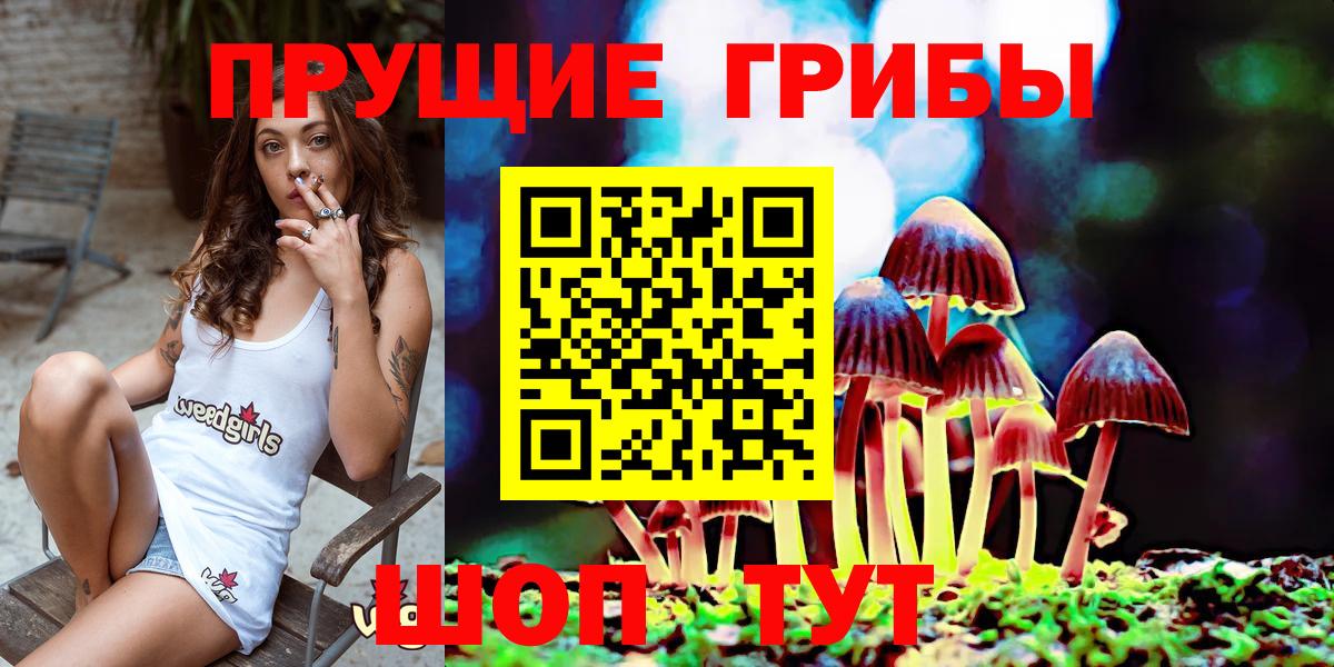 Псилоцибиновые грибы Magic Shrooms Ялуторовск