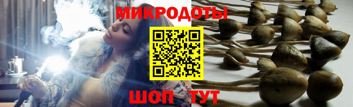 Псилоцибиновые грибы Cubensis  Вход с VPN  Ялуторовск 
